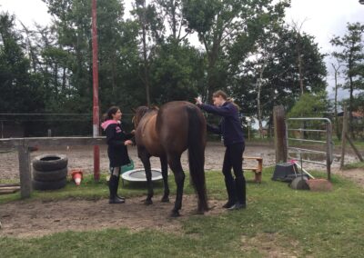 Groeigroep groeicirkel zelfvertrouwen vertrouwen ouders kinderen ouder kind paard paarden coach coaching therapie hypo hypotherapie ekeren malle antwerpen boost boosten relatie angst angsten overwinnen