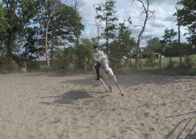 Groeigroep groeicirkel zelfvertrouwen vertrouwen ouders kinderen ouder kind paard paarden coach coaching therapie hypo hypotherapie ekeren malle antwerpen boost boosten relatie angst angsten overwinnen