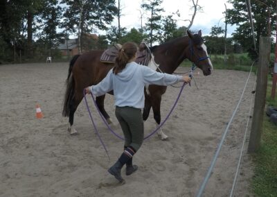 Groeigroep groeicirkel zelfvertrouwen vertrouwen ouders kinderen ouder kind paard paarden coach coaching therapie hypo hypotherapie ekeren malle antwerpen boost boosten relatie angst angsten overwinnen