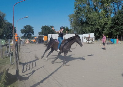 Groeigroep groeicirkel zelfvertrouwen vertrouwen ouders kinderen ouder kind paard paarden coach coaching therapie hypo hypotherapie ekeren malle antwerpen boost boosten relatie angst angsten overwinnen