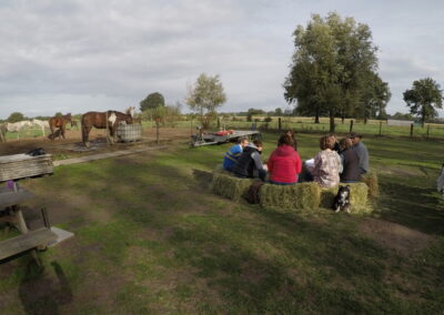 Groeigroep groeicirkel zelfvertrouwen vertrouwen ouders kinderen ouder kind paard paarden coach coaching therapie hypo hypotherapie ekeren malle antwerpen boost boosten relatie angst angsten overwinnen